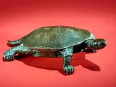 Detailabbildung:  Fein ausgearbeitete Wasserschildkröte