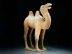 Detailabbildung: Kamel der Tang-Dynastie, 618 - 906 n.Chr.