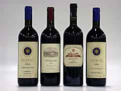 Detail images: Kollektion grosser Vino da Tavola der Toskana VdT Bolgheri / Toscana (Toskana, Italien)