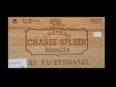 Detail images: Château Chasse Spleen 1995 0,75l Moulis Cru Bourgeois (Bordeaux, Frankreich)