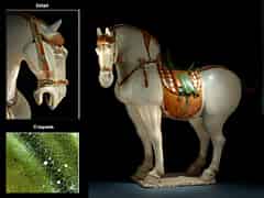 Detailabbildung: Bedeutendes T’ang-Pferd