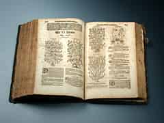 Detail images: Großes Kräuterbuch aus dem Jahre 1613