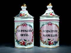 Detail images: Paar französische Apothekengefäße mit Deckel