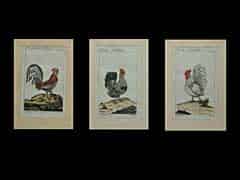 Detailabbildung: Satz von drei colorierten Stichen “Der Haushahn und zwei Hennen“