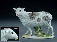 Detailabbildung: Meissener Porzellanfigur eines stehenden Schafes