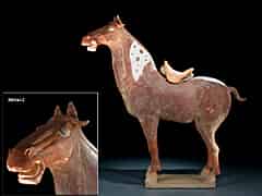 Detail images: Tang-Pferd