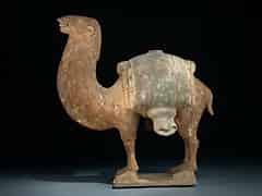 Detailabbildung: Kamel der Wei-Dynastie