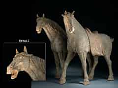 Detailabbildung: Ein Paar Tang-Pferde