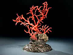 Detailabbildung: Korallenbaum