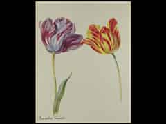 Detailabbildung: Englischer Blumenmaler des 18. Jahrhunderts