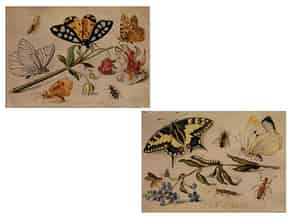 Detail images:  Jan van Kessel d. Ä., 1626 - 1678