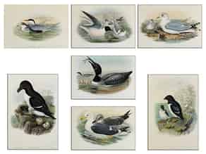 Detailabbildung:  Satz von sieben Lithografien mit Vogelmotiven
