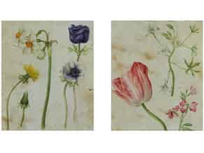 Detail images:  Blumenmalerei in Pergament in Art der Nachfolge von Maria Sibylla Merian, 1647 – 1717