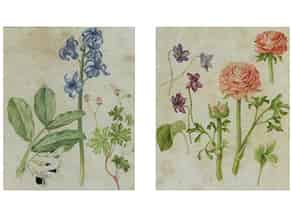 Detailabbildung:  Blumenmalerei in Pergament in Art der Nachfolge von Maria Sibylla Merian, 1647 – 1717