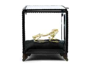 Detailabbildung:  Skelett eines Frosches in gläserner Box