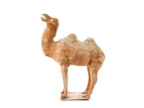 Detailabbildung:  Terrakottafigur eines Kamels
