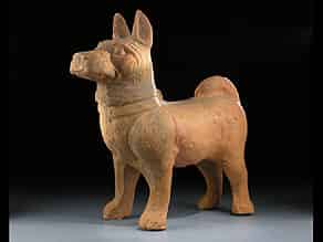 Detailabbildung:  Mittelgroßer Hund der Han-Dynastie