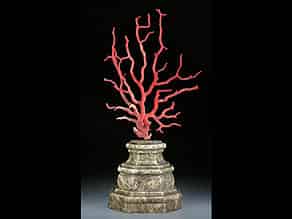 Detailabbildung:  Großer Korallenbaum als barockes Kunstkammerobjekt