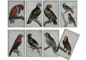 Detailabbildung:  Satz von acht kolorierten Radierungen aus der Vogelkunde von Büffon