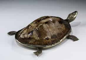 Detailabbildung:  Schildkröte