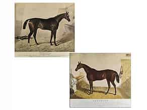 Detail images:  Paar lithografierte Pferdedarstellungen