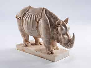Detailabbildung:  Rhinozeros
