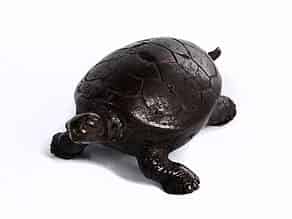 Detailabbildung:  Kleine Bronze-Wasserschildkröte