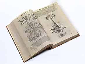 Detailabbildung:  Mattioli - die Ausgabe mit den großen Holzschnitten Mattioli, Pier Andrea. Commentariorum in P. Dioscoridis de medica materia. Venedig, Valgrisi, 1583.