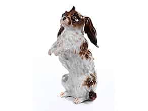 Detailabbildung:  Meissener Porzellanfigur eines Bologneser-Hundes