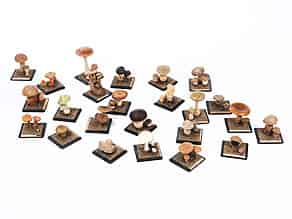 Detail images:  Sammlung von 24 Pilzmodellen