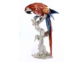 Detailabbildung:  Ara-Papagei auf hohem Baumstamm