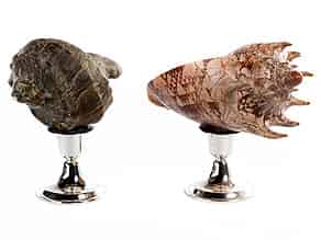 Detail images:  Paar Objekte mit Muschel