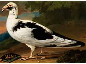 Detail images:   Englischer Maler des 18. Jahrhunderts