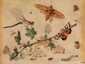 Detail images:   Jan van Kessel, 1626 – 1679