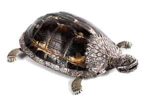 Detail images:   Schildkröte