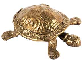 Detailabbildung:   Schildkröte