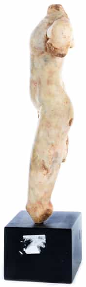 Detailabbildung: Männlicher Torso
