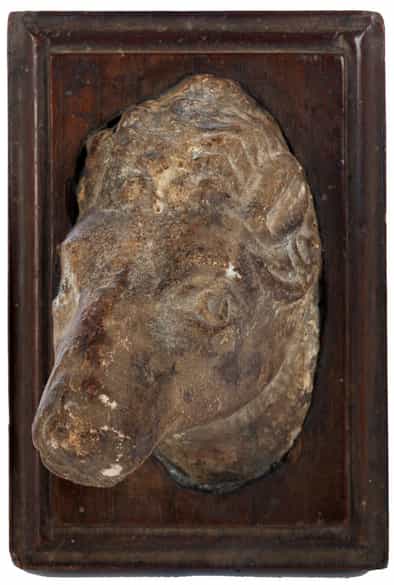 Detailabbildung: Marmorfragment eines Widderkopfes