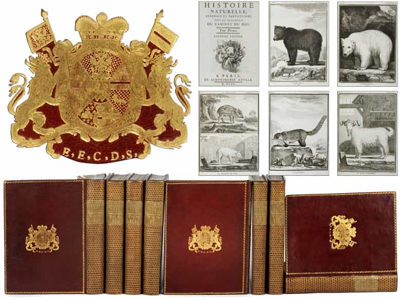Detailabbildung: † Eine Bibliothek des 18. Jahrhunderts