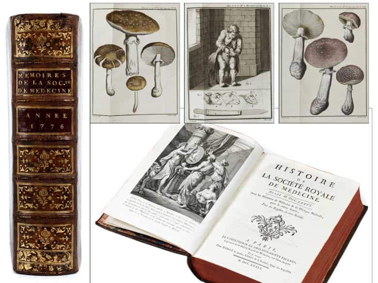 Detailabbildung: † Eine Bibliothek des 18. Jahrhunderts