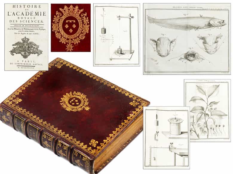 Detailabbildung: † Eine Bibliothek des 18. Jahrhunderts
