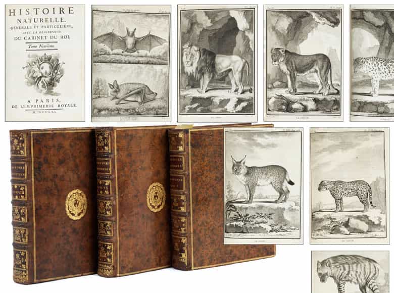 Detailabbildung: † Eine Bibliothek des 18. Jahrhunderts