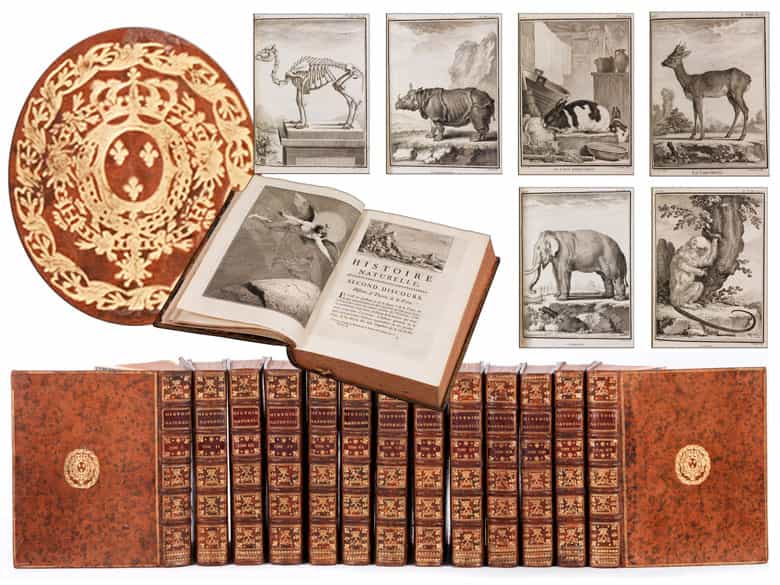 Detailabbildung: † Eine Bibliothek des 18. Jahrhunderts