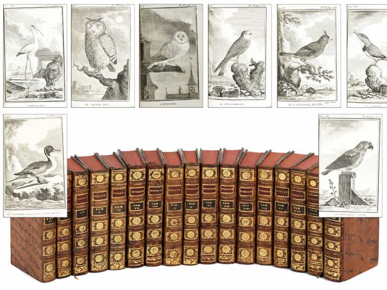 Detailabbildung: † Eine Bibliothek des 18. Jahrhunderts