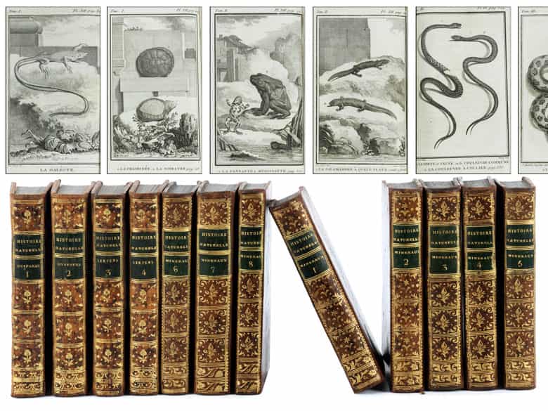 Detailabbildung: † Eine Bibliothek des 18. Jahrhunderts