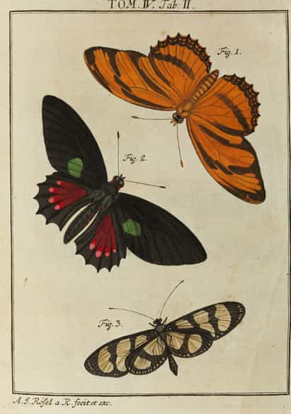 Detailabbildung:  Bücherkonvolut, insgesamt neun Bände