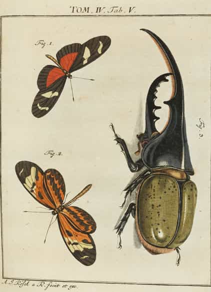 Detailabbildung:  Bücherkonvolut, insgesamt neun Bände