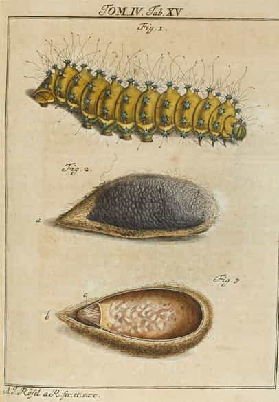 Detailabbildung:  Bücherkonvolut, insgesamt neun Bände