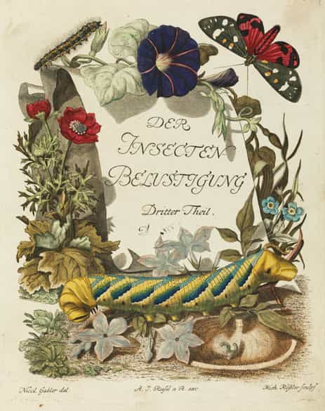 Detailabbildung:  Bücherkonvolut, insgesamt neun Bände