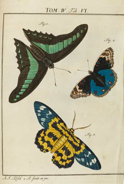 Detailabbildung:  Bücherkonvolut, insgesamt neun Bände